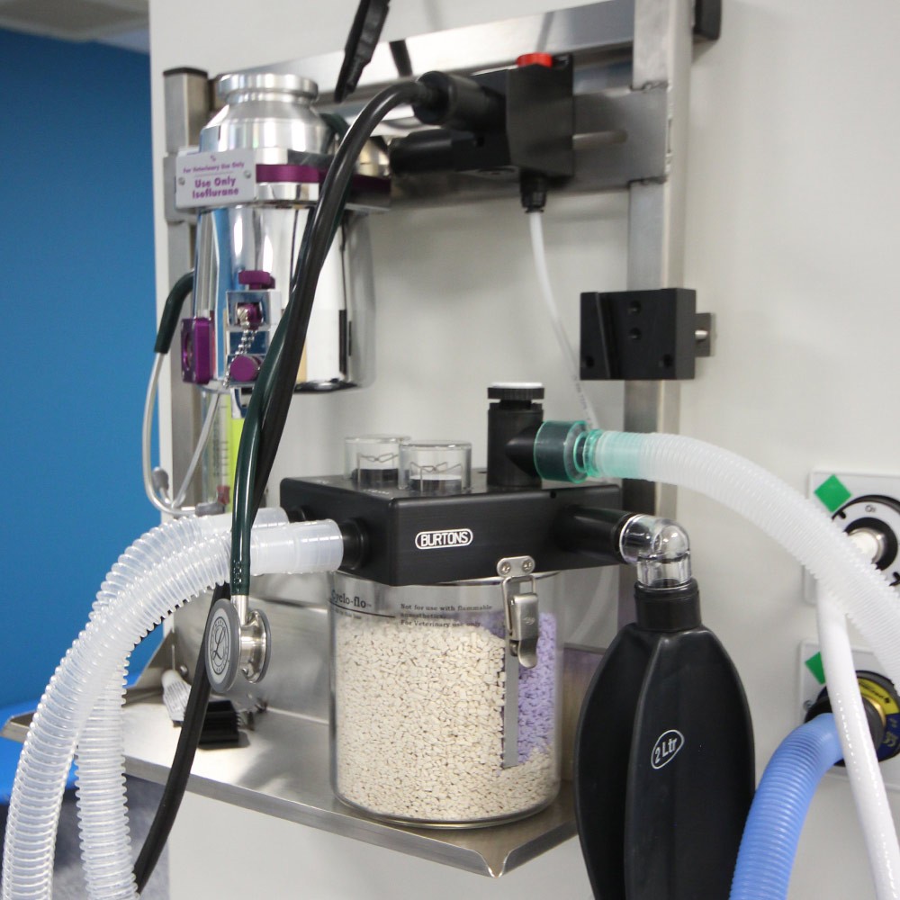 'Pattenden Vets 'Wall outlets for anaesthesia machine wall mounted machine